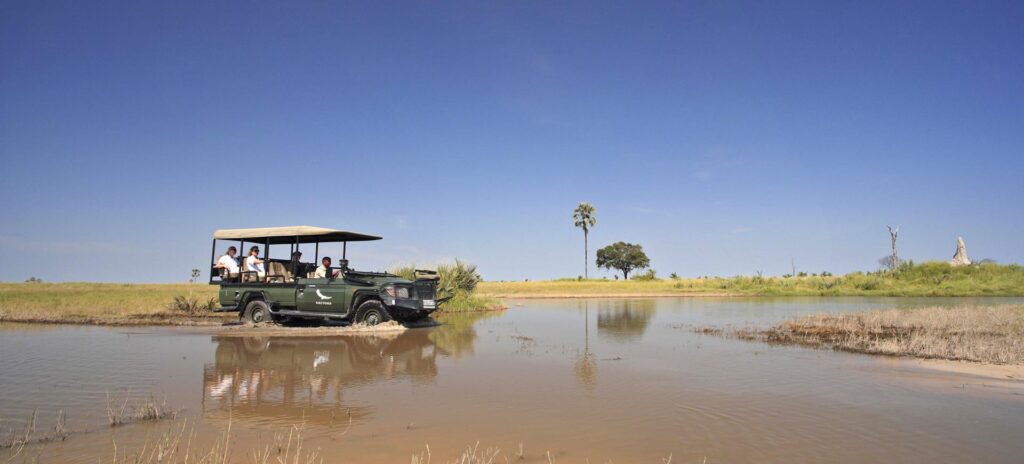 Okavango Delta Game Driving