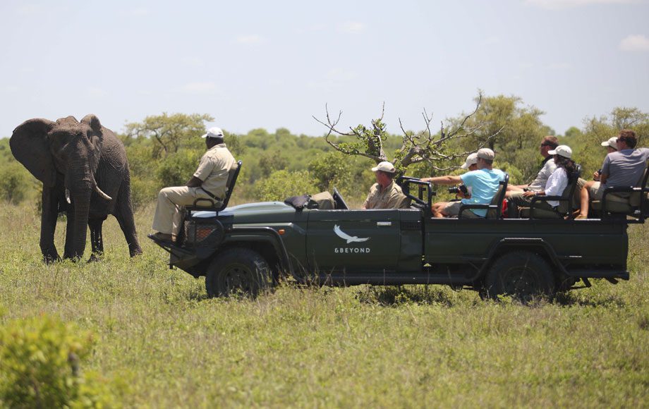 andbeyond-ngala-game drive - timbavati - kruger - south africa - destination