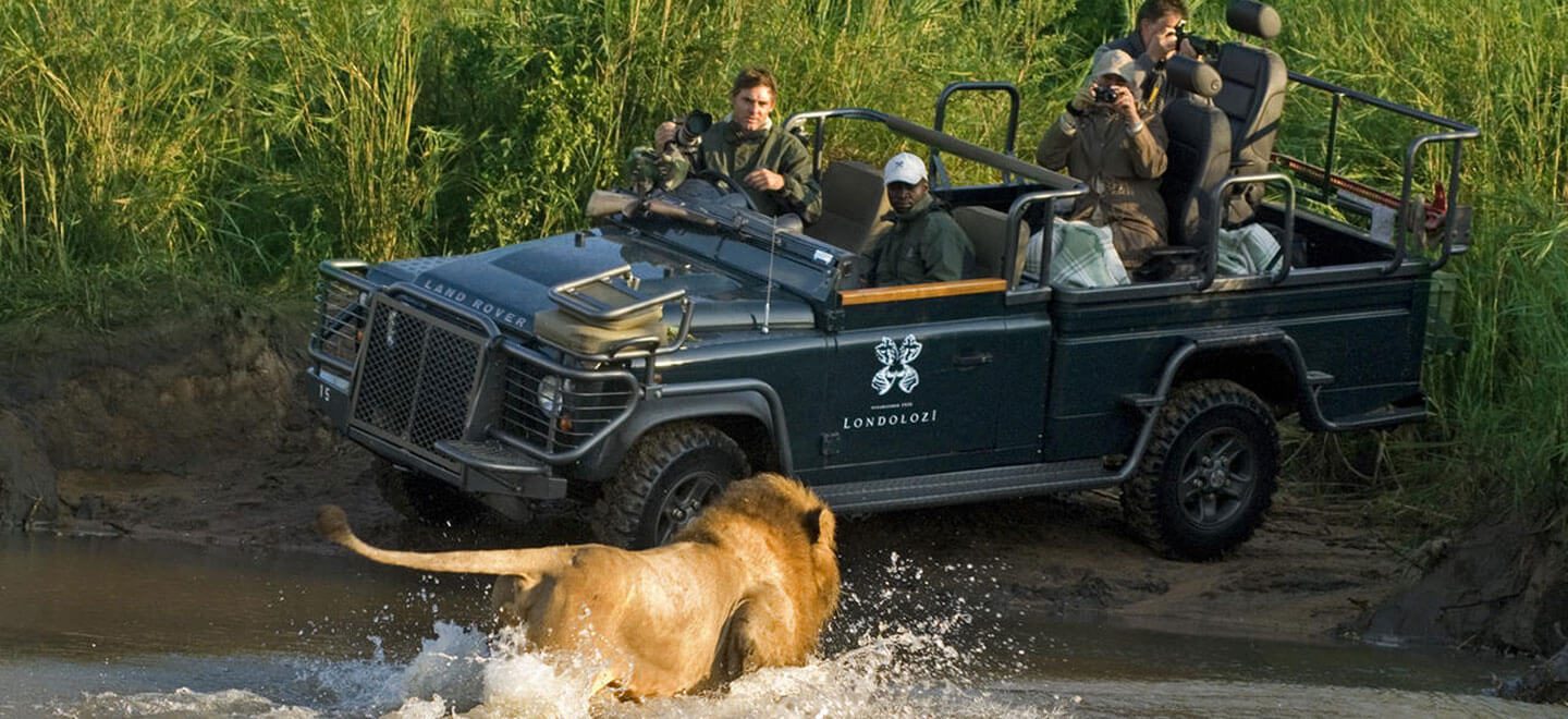 londolozi- game drive experience - sabi sands - kruger - South Africa Destination