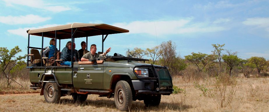 Mhondoro-Lodge- game drive - welgevonden-waterberg - south africa destination