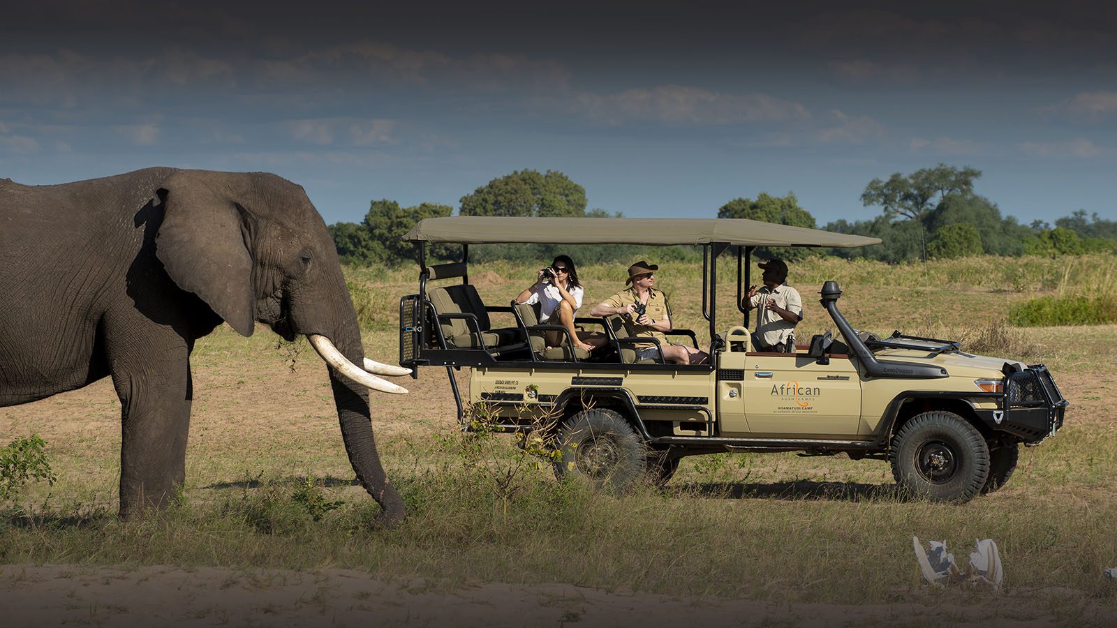 Nyamatusi Camp_ele bull_Game driver_experience-Mana-Pools-National-Park-Zimbabwe_Destination