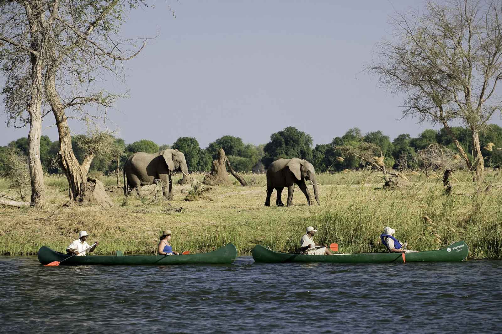 chikwenya Camp-canoeing_elephnat-sighting_ Mana Pools National Park _Zimbabwe_Destination