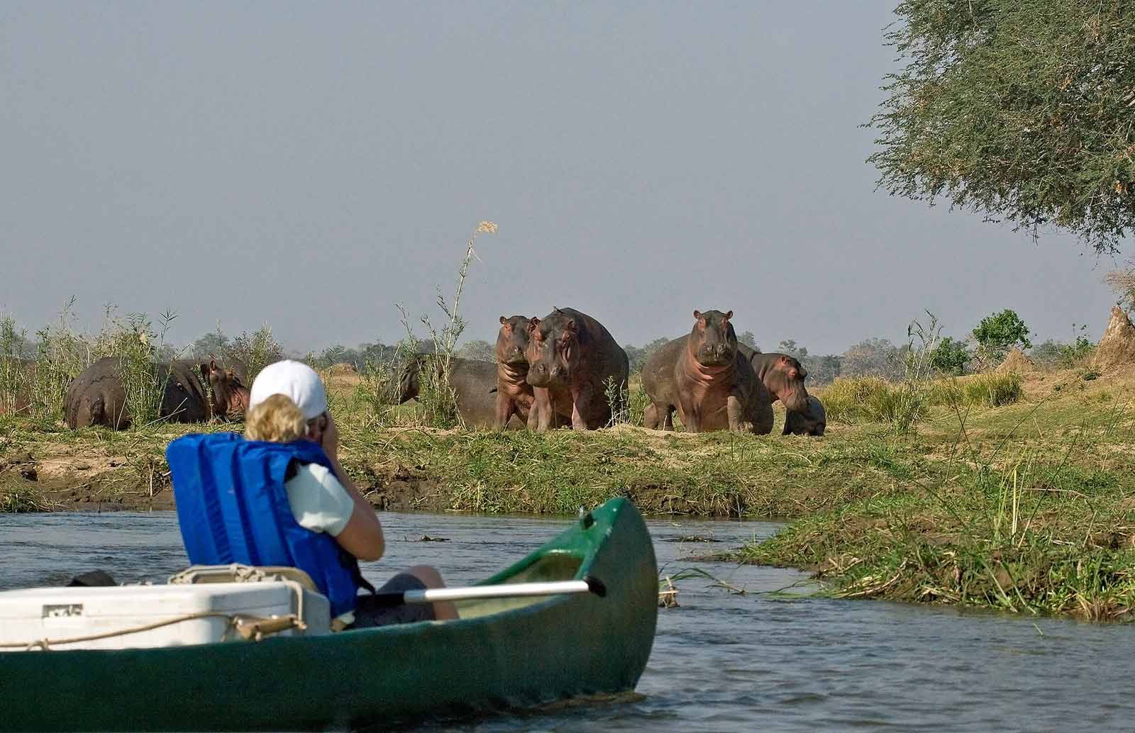 chikwenya Camp-canoeing_safari_ Mana Pools National Park _Zimbabwe_Destination