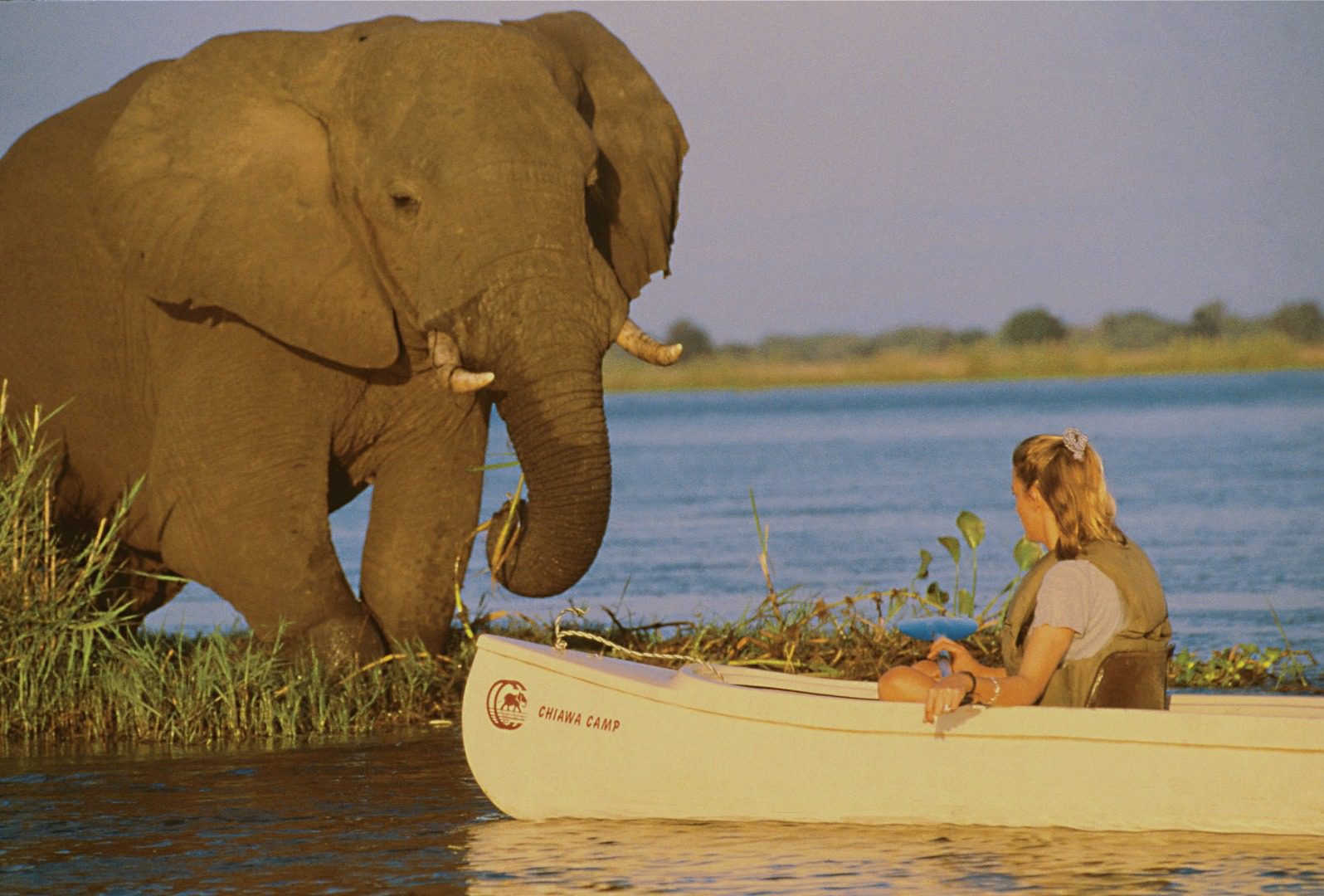 Chiawa Camp _ ele_canoeing safari_ Lower Zambezi National Park _Zambia Destination