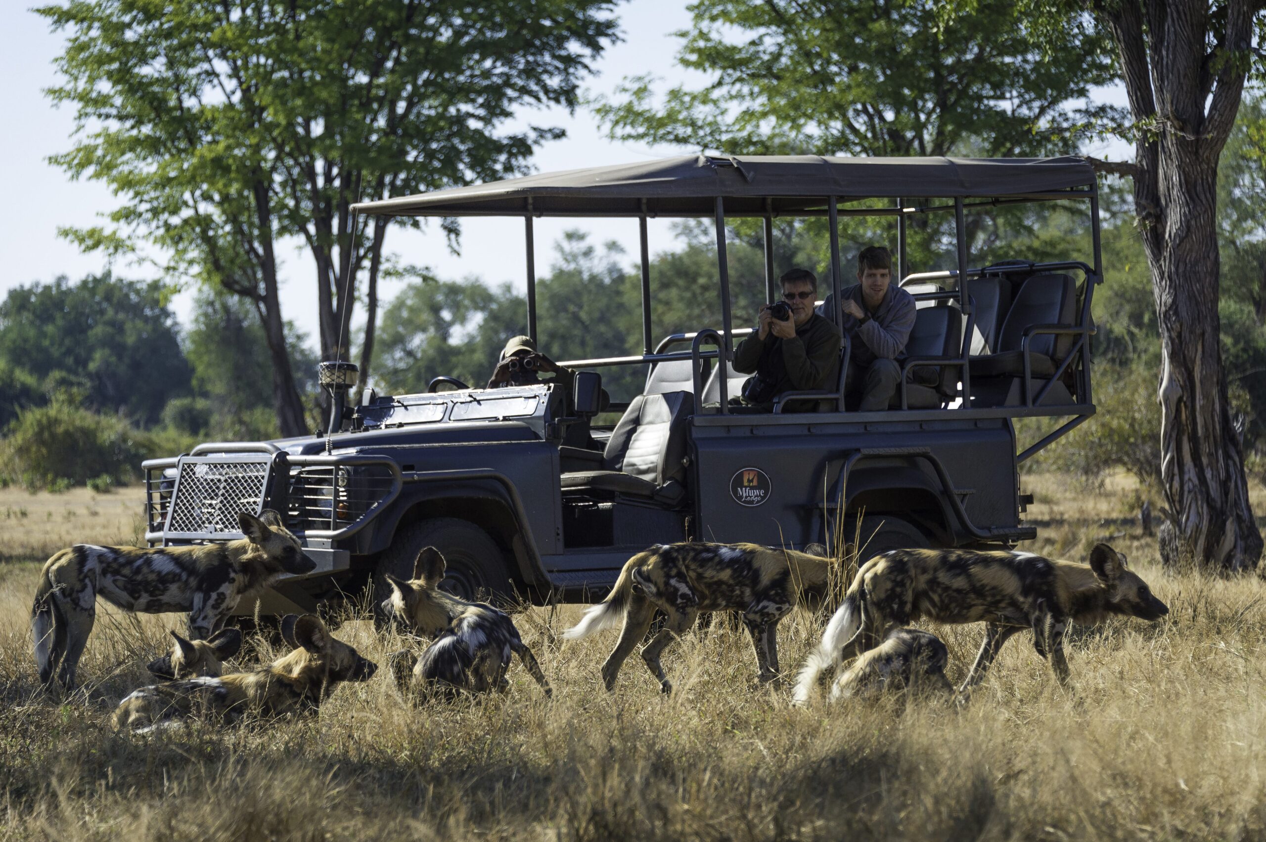 Chindeni Bush Camp_wildlife_game drives_ South Luangwa National Park, Zambia Safari