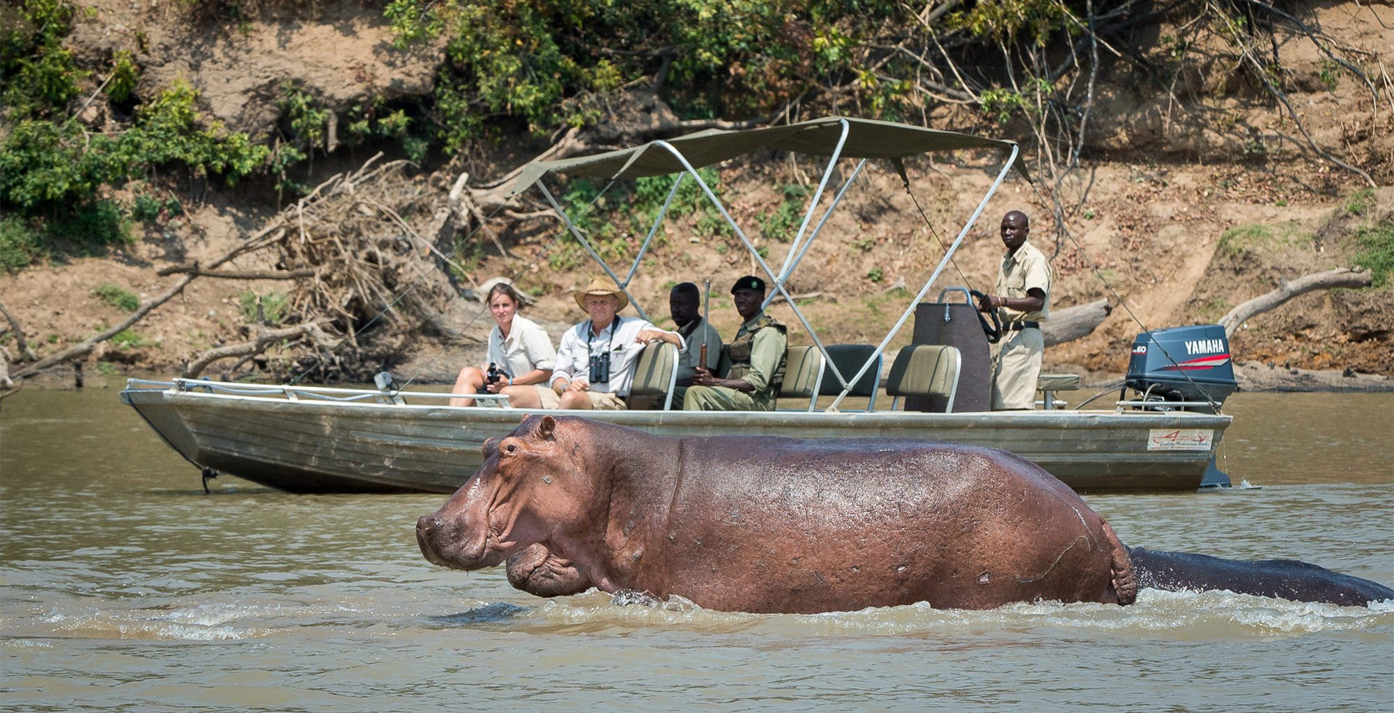 Nkwali Bush Camp _hippo_river_safari experience_South Luangwa National Park _Zambia Destination