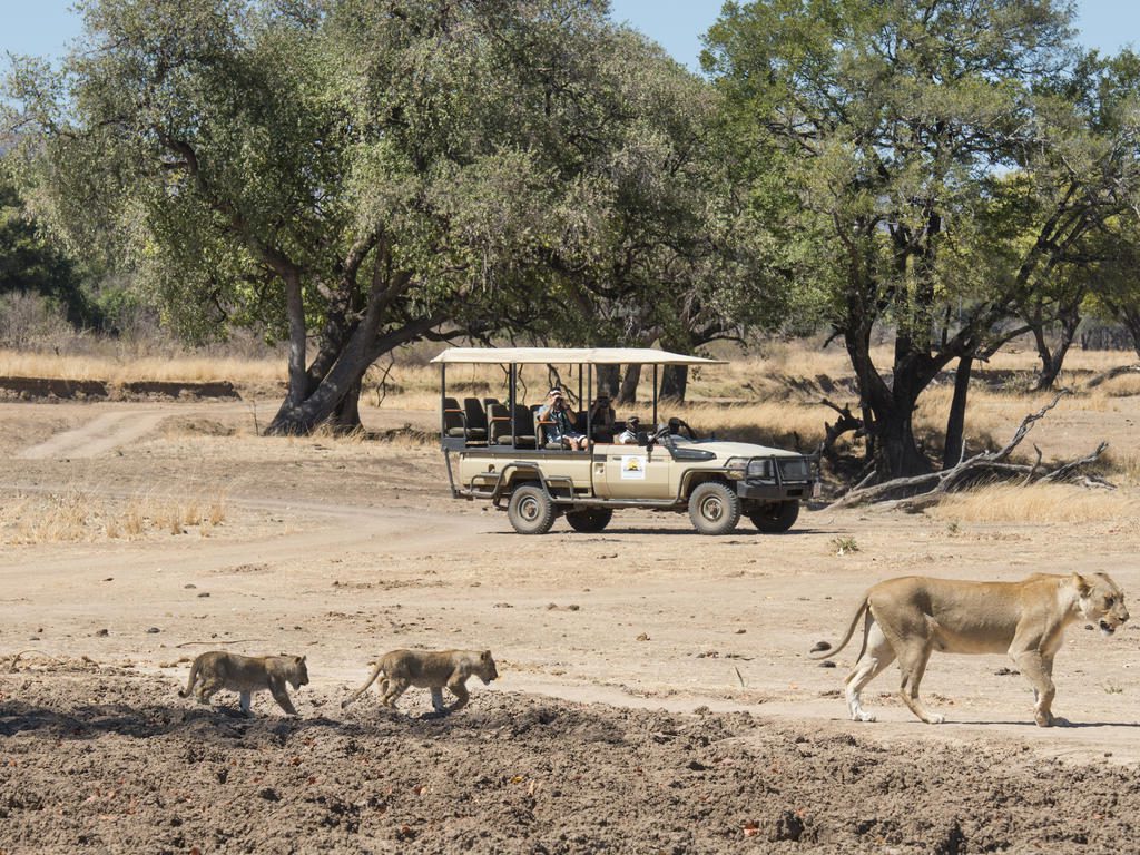 Puku-Ridge-game-drive-lioness-and-cubs