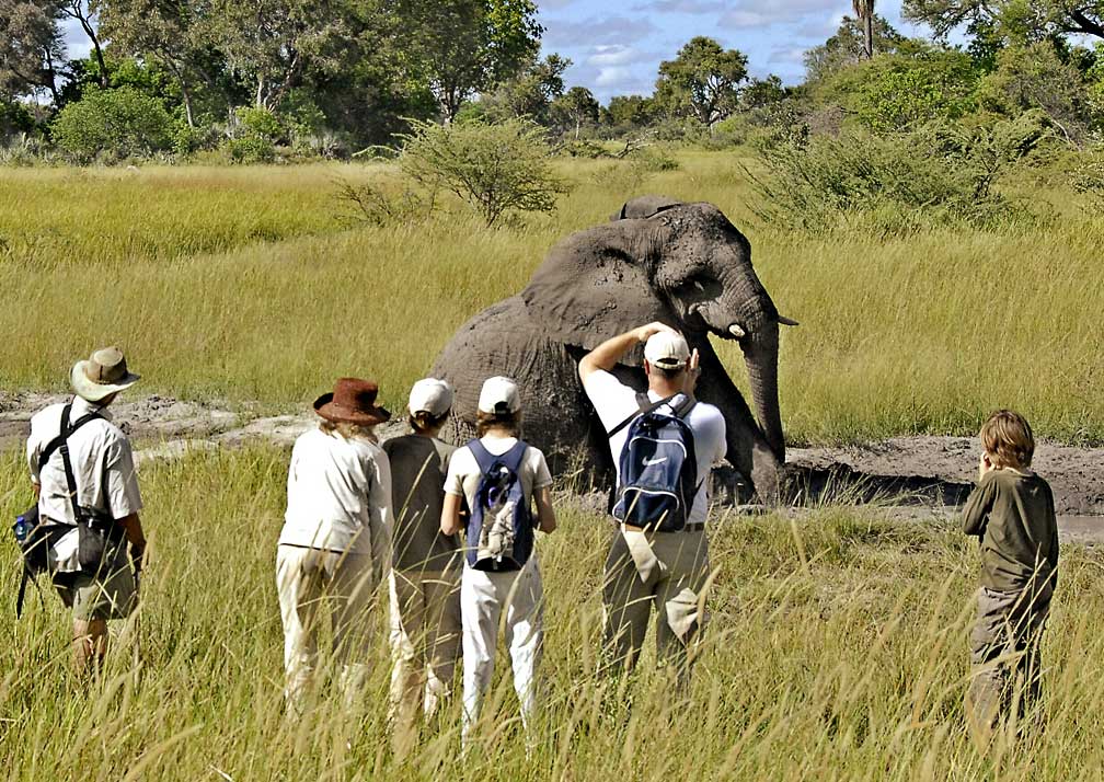 Afrika Zambezi Safaris