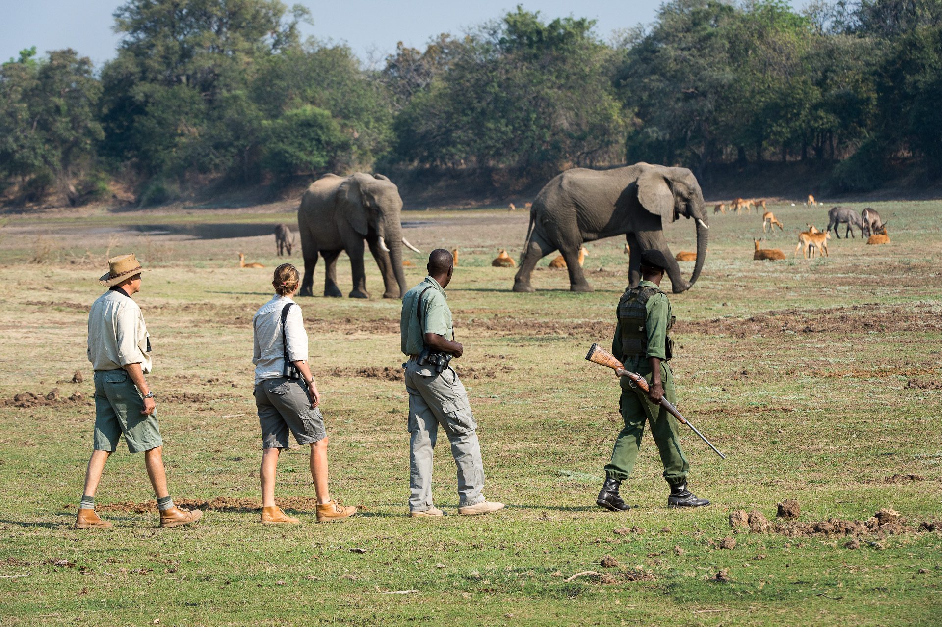 South Luangwa Robin-Pope-Eles_safari walking_ expeditions - Zambia Destination