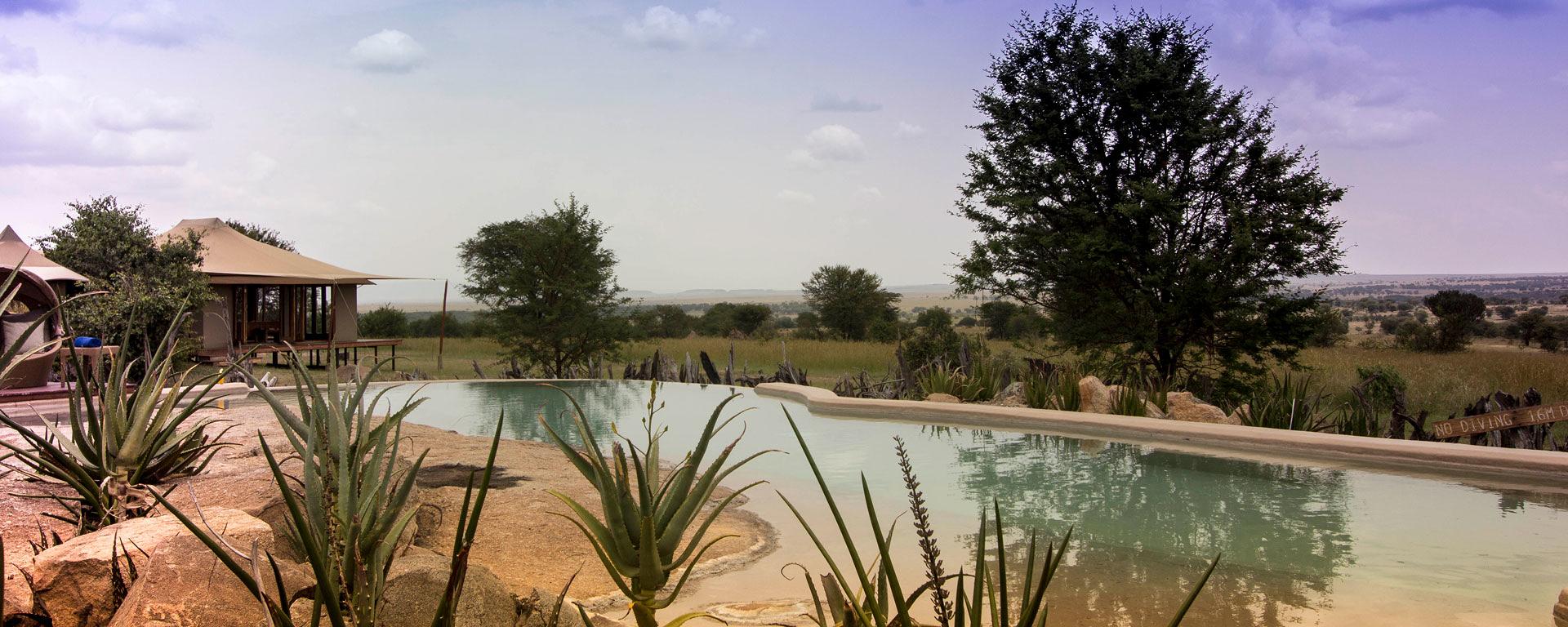 Asilia Sayari camp _ pool area_Masai mara _Kenya Destination