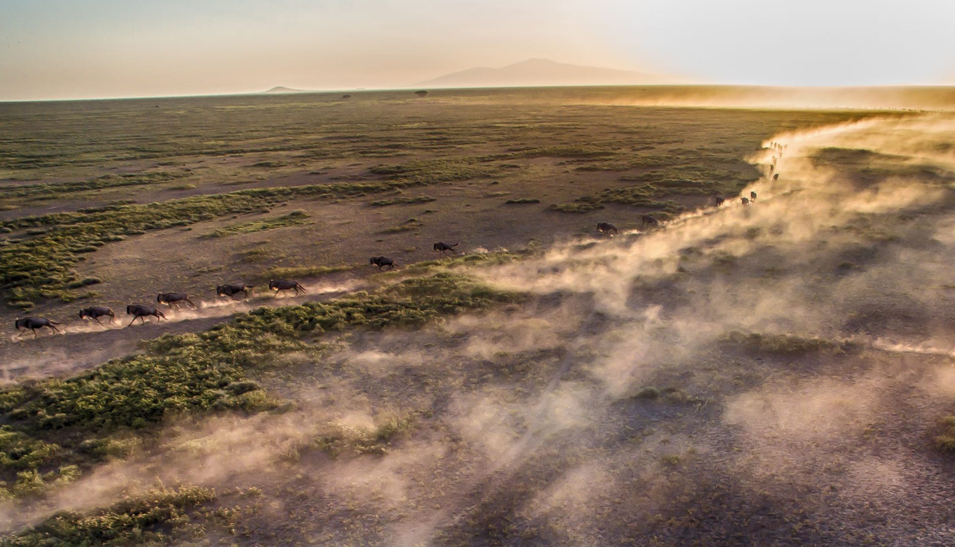 andBeyond_Kleins-Camp_Serengeti_game_drive_landscape_Tanzania_Destination