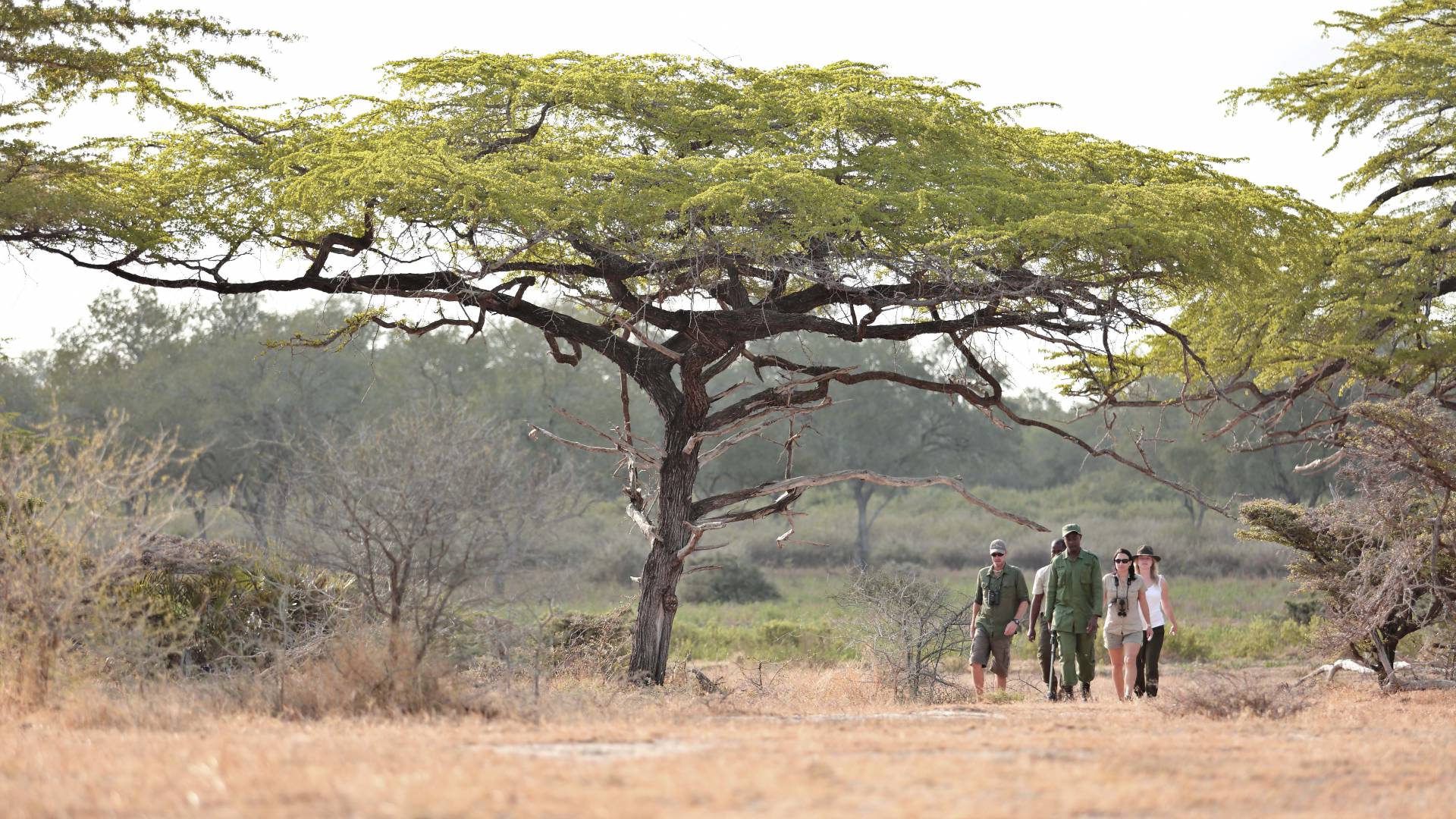 Asilia Roho-ya-selous camp - bushwalks-Tanzania_Destination