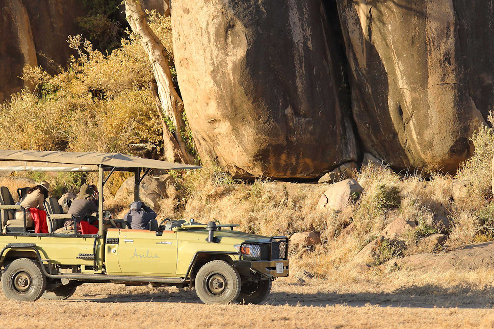 Asilia_ Namiri-Plains-gamedrive_experience-serengeti Tanzania _Destination