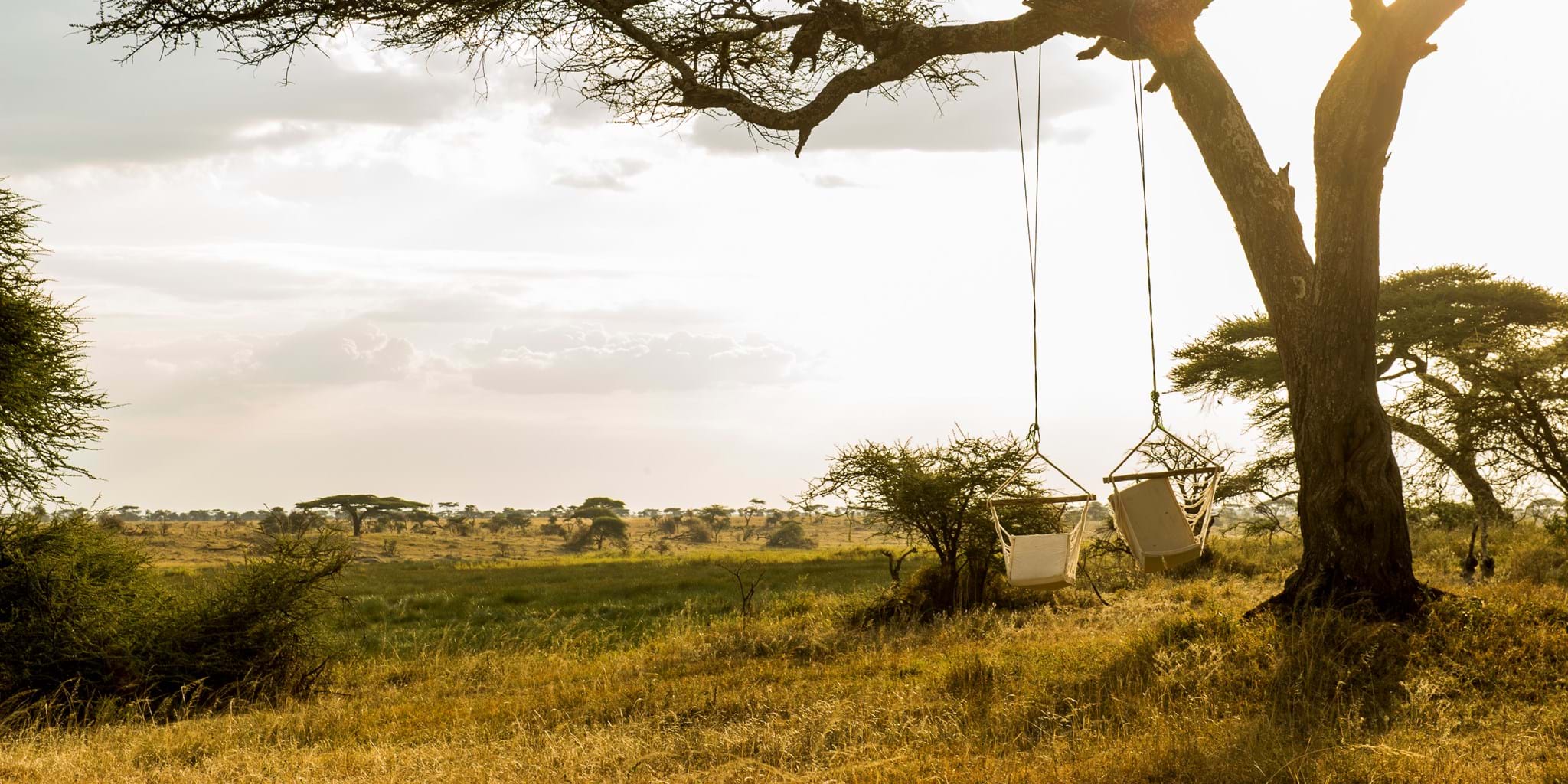 Asilia_ Namiri-Plains-guests picnic-serengeti Tanzania _Destination