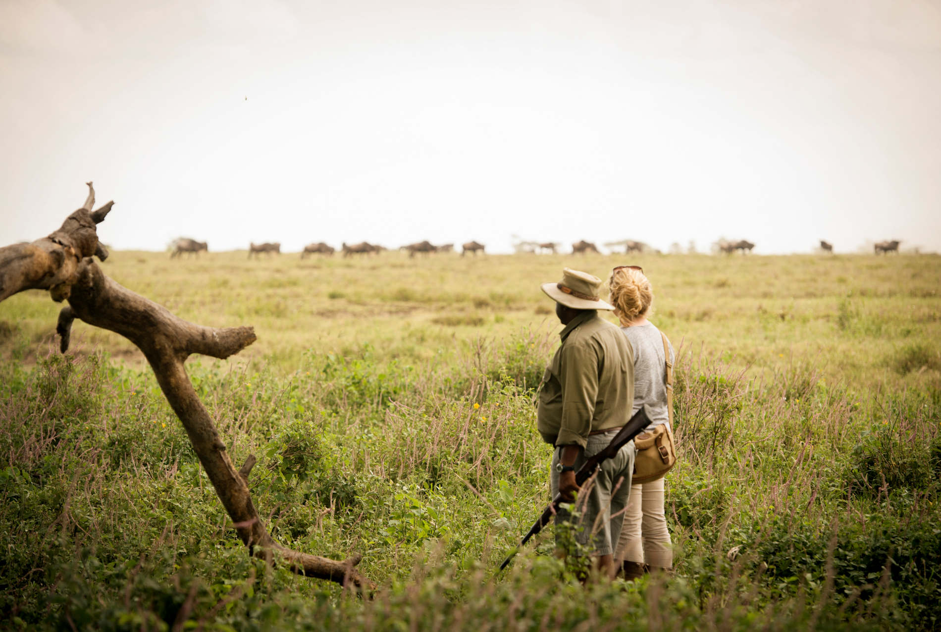 Asilia_Namiri-Plains-walking safari -serengeti Tanzania _Destination