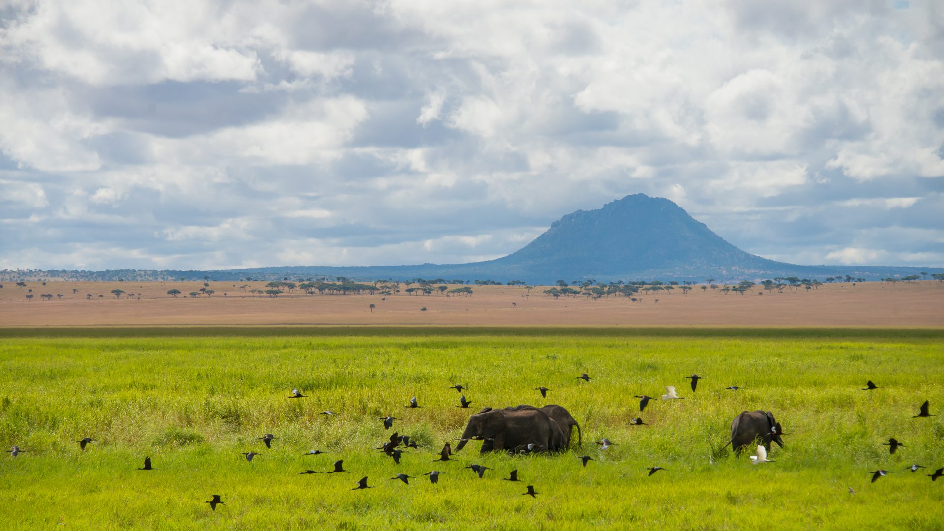 Sanctuary_swala camp -Tarangire aerial view - Tanzania_Destination