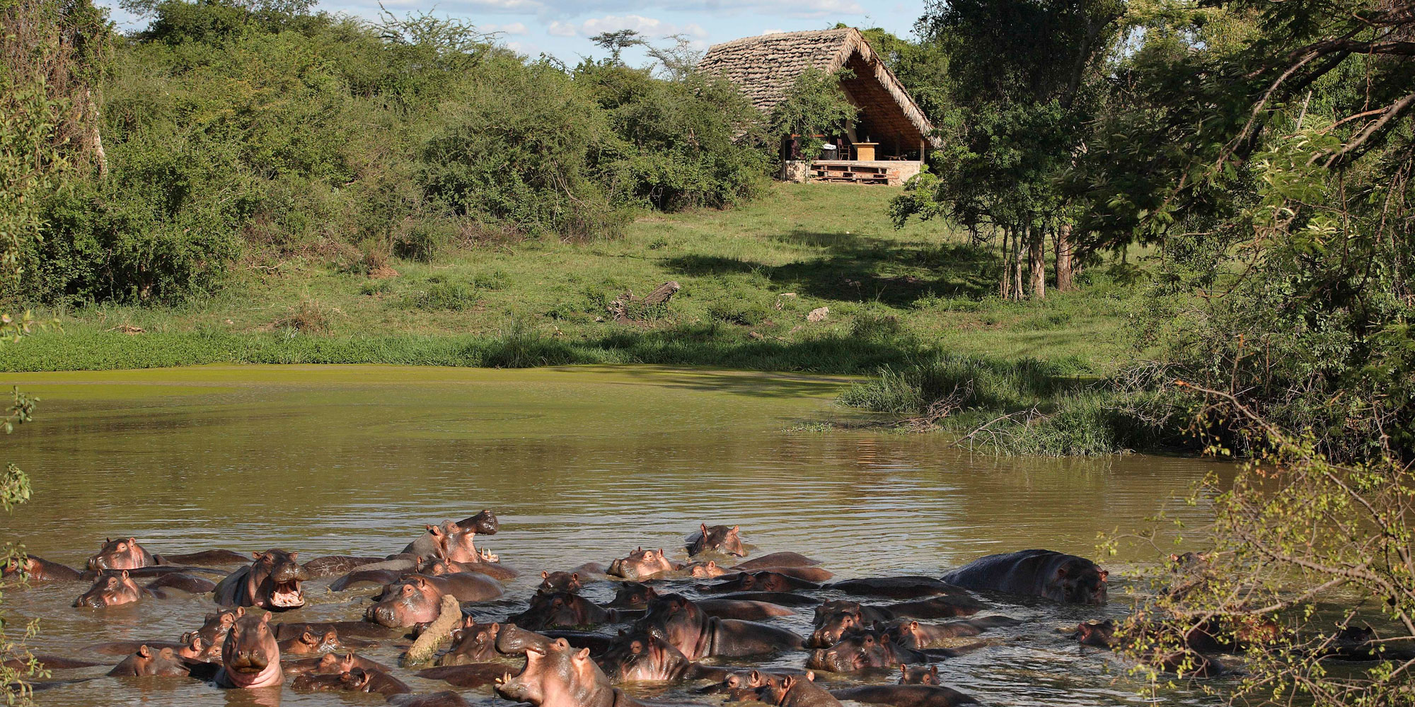 andBeyond Grumeti Tented Camp_hippo_pool_Serengeti_ Tanzania_Destination-notes