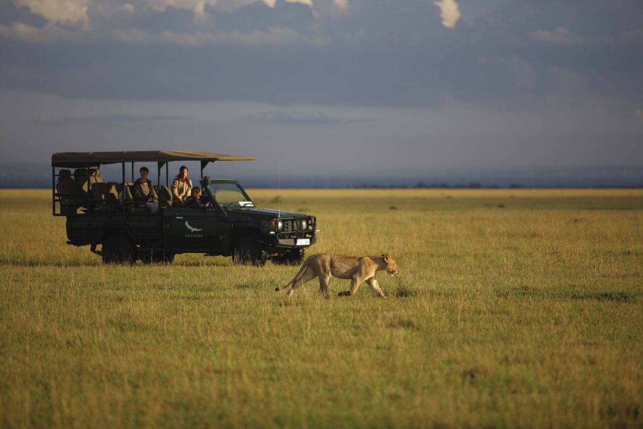 andBeyond Grumeti Tented Camp_lion_cub_sighting_gamedrive_Serengeti_ Tanzania_Destination-notes