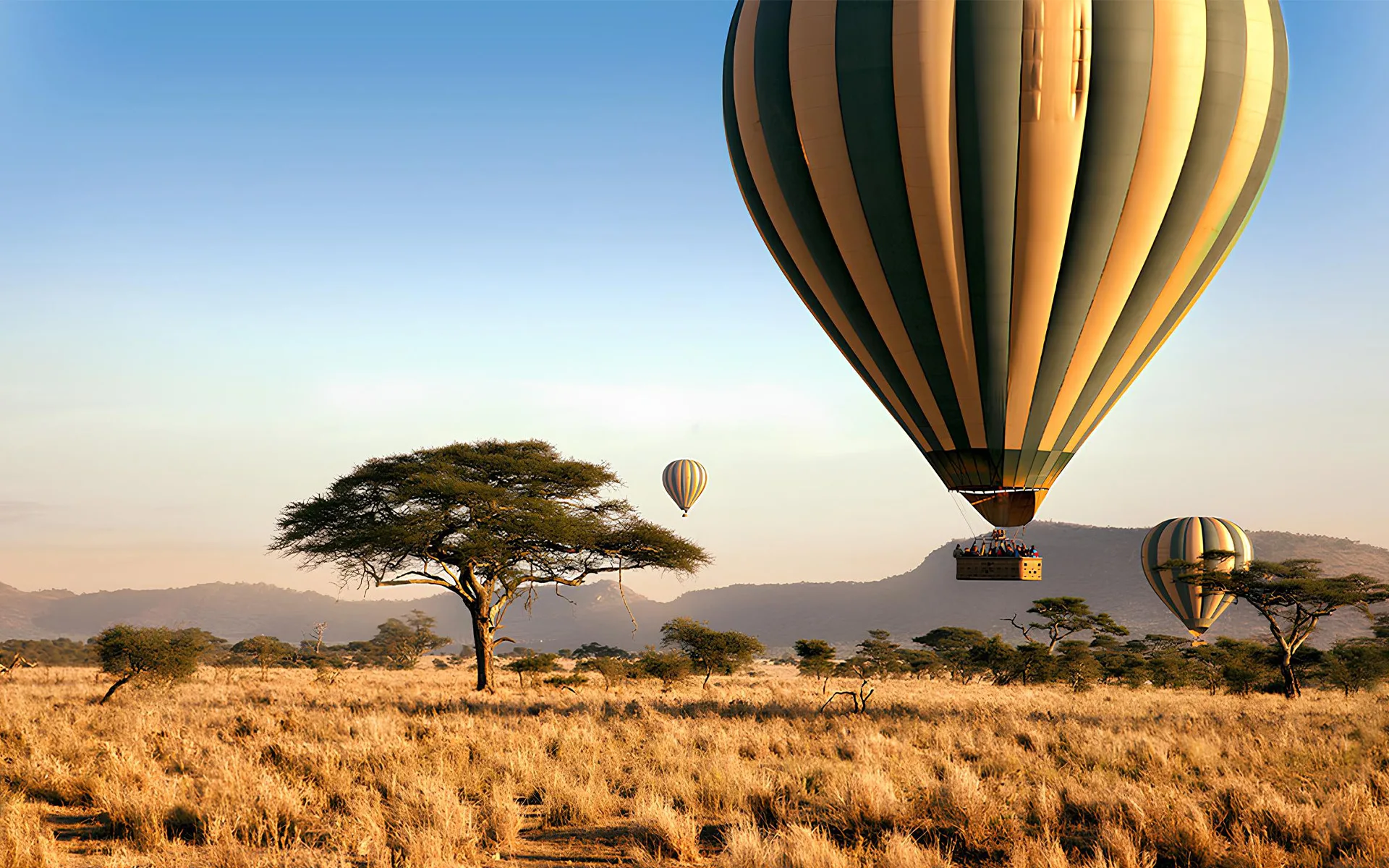balloon-serengeti-1-jpg
